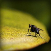 /album/augustus/photolia-a07-jpg/